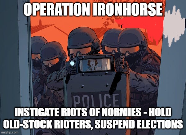 OPERATION IRONHORSE; INSTIGATE RIOTS OF NORMIES - HOLD OLD-STOCK RIOTERS, SUSPEND ELECTIONS | image tagged in memes | made w/ Imgflip meme maker