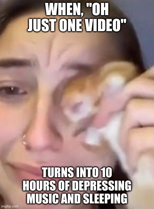 My hamster takes most the damage.... | WHEN, "OH JUST ONE VIDEO"; TURNS INTO 10 HOURS OF DEPRESSING MUSIC AND SLEEPING | image tagged in hampter cry,sad,hamsters,music,funny,change my mind | made w/ Imgflip meme maker