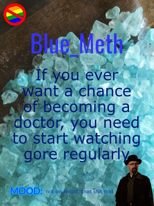 watchpeopledie.tv     theYNC.com | If you ever want a chance of becoming a doctor, you need to start watching gore regularly; not on reddit, that shit mid | image tagged in blue_meth template,make money | made w/ Imgflip meme maker