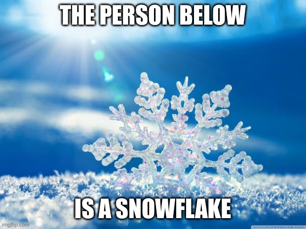 snowflake | THE PERSON BELOW; IS A SNOWFLAKE | image tagged in snowflake | made w/ Imgflip meme maker