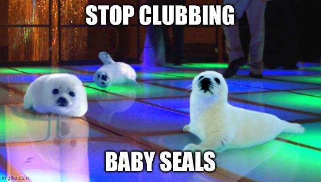 Stop clubbing, baby seals! | STOP CLUBBING BABY SEALS | image tagged in stop clubbing baby seals | made w/ Imgflip meme maker