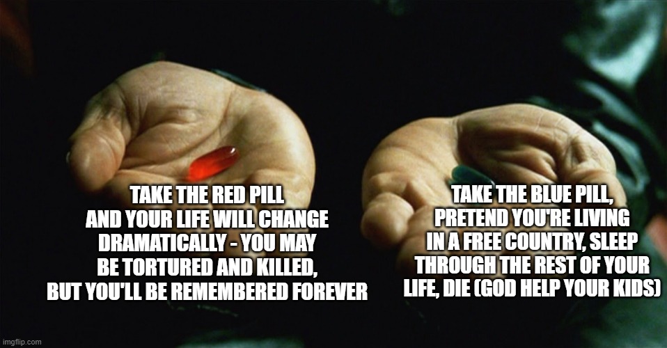 Red pill blue pill | TAKE THE RED PILL AND YOUR LIFE WILL CHANGE DRAMATICALLY - YOU MAY BE TORTURED AND KILLED, BUT YOU'LL BE REMEMBERED FOREVER; TAKE THE BLUE PILL, PRETEND YOU'RE LIVING IN A FREE COUNTRY, SLEEP THROUGH THE REST OF YOUR LIFE, DIE (GOD HELP YOUR KIDS) | image tagged in red pill blue pill | made w/ Imgflip meme maker