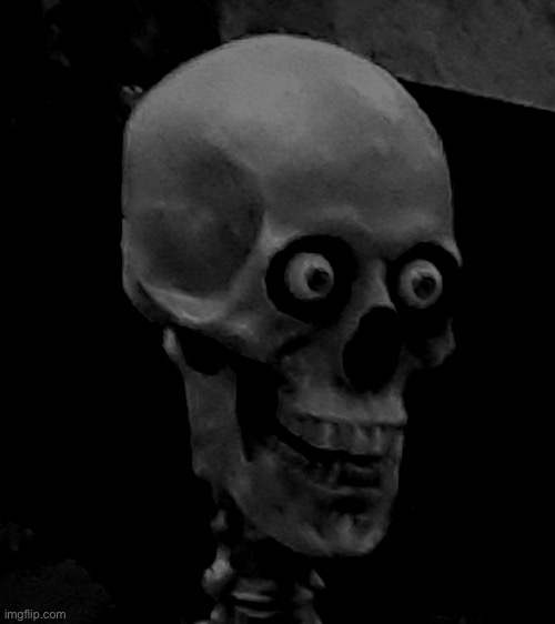 Traumatized Skeleton | image tagged in traumatized skeleton | made w/ Imgflip meme maker