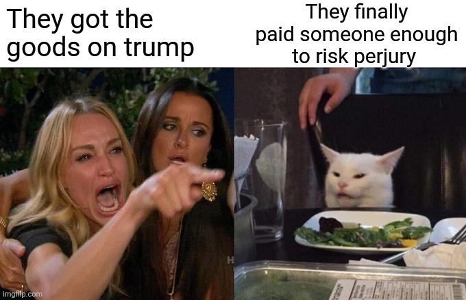 Woman Yelling At Cat Meme | They got the goods on trump They finally paid someone enough to risk perjury | image tagged in memes,woman yelling at cat | made w/ Imgflip meme maker