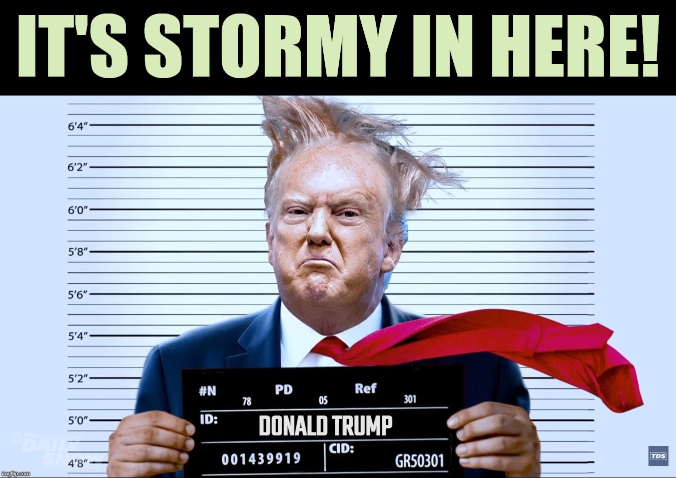 stormy mug... | IT'S STORMY IN HERE! DONALD TRUMP | image tagged in stormy daniels,donald trump,kiss my ass,guilt,af,lock him up | made w/ Imgflip meme maker