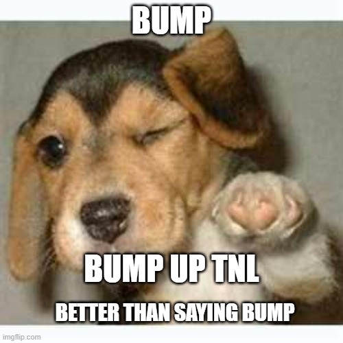 Fist bump puppy  | BUMP; BUMP UP TNL; BETTER THAN SAYING BUMP | image tagged in fist bump puppy | made w/ Imgflip meme maker