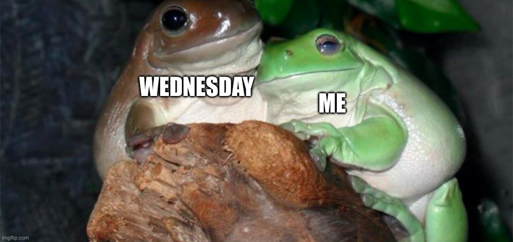 Wednesday | ME; WEDNESDAY | image tagged in frogs,wednesday,enjoy,memes | made w/ Imgflip meme maker