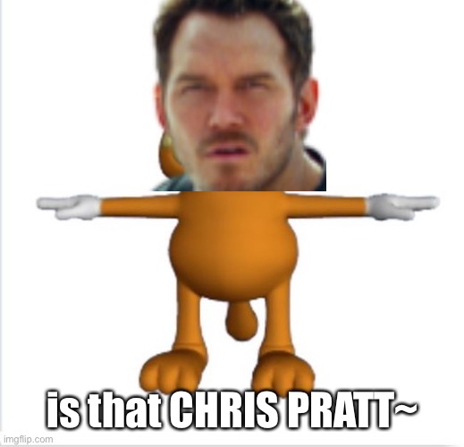 GORFIELD | is that CHRIS PRATT~ | image tagged in garfield t-pose | made w/ Imgflip meme maker