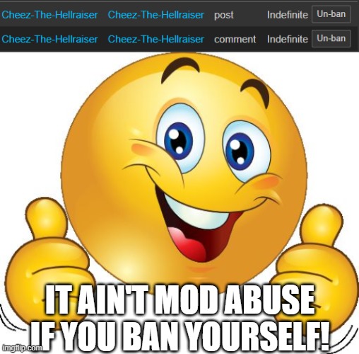 (Super_Saiyan_Oven: On god bro) | IT AIN'T MOD ABUSE IF YOU BAN YOURSELF! | image tagged in thumbs up emoji | made w/ Imgflip meme maker