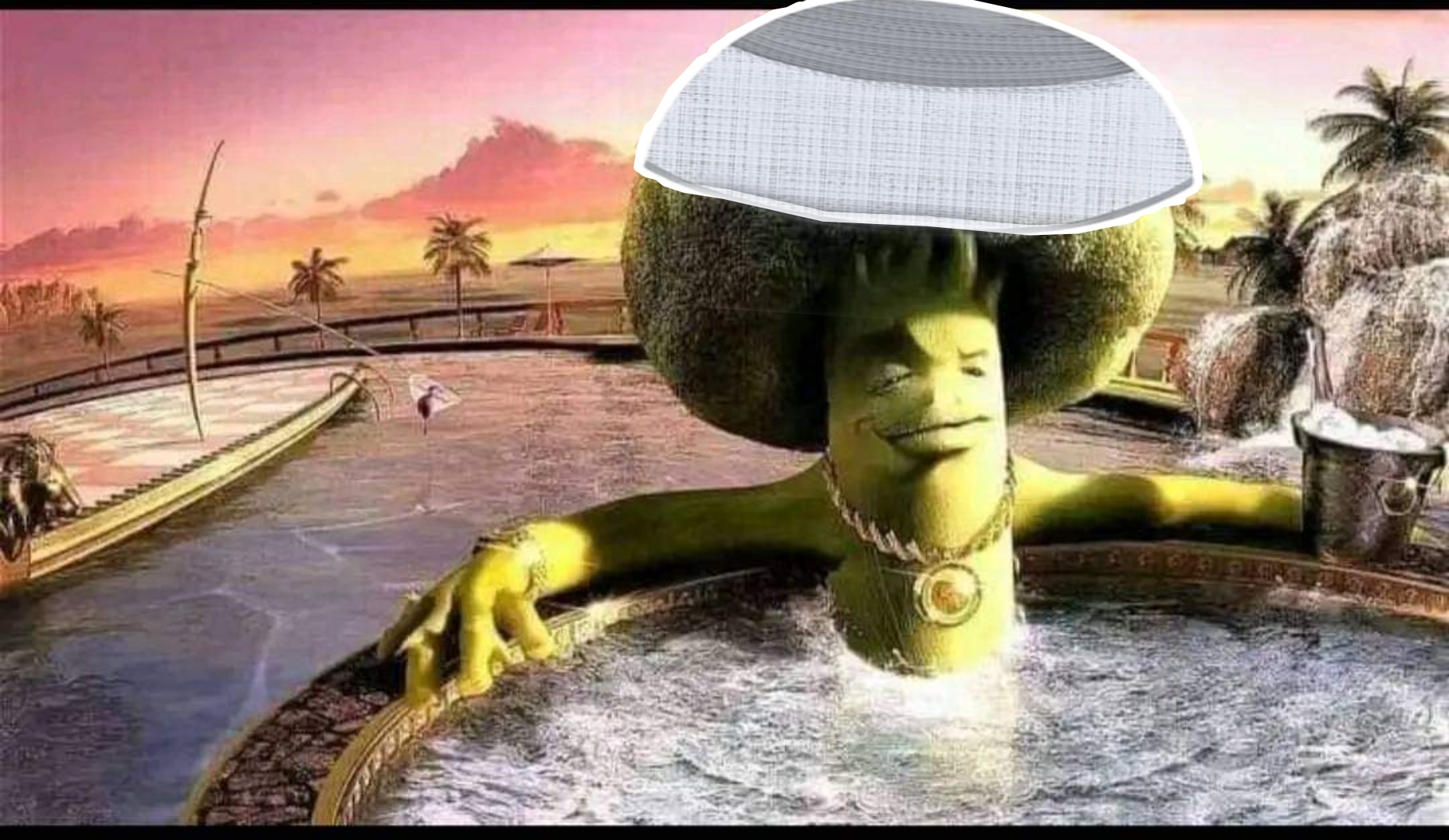 High Quality Broccoli stay halal Blank Meme Template