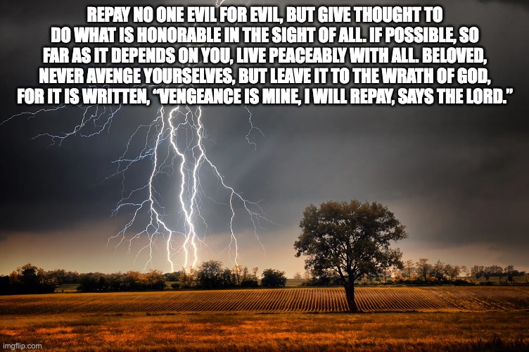 Romans 12:17-19 | REPAY NO ONE EVIL FOR EVIL, BUT GIVE THOUGHT TO DO WHAT IS HONORABLE IN THE SIGHT OF ALL. IF POSSIBLE, SO FAR AS IT DEPENDS ON YOU, LIVE PEACEABLY WITH ALL. BELOVED, NEVER AVENGE YOURSELVES, BUT LEAVE IT TO THE WRATH OF GOD, FOR IT IS WRITTEN, “VENGEANCE IS MINE, I WILL REPAY, SAYS THE LORD.” | image tagged in lightning and tree | made w/ Imgflip meme maker