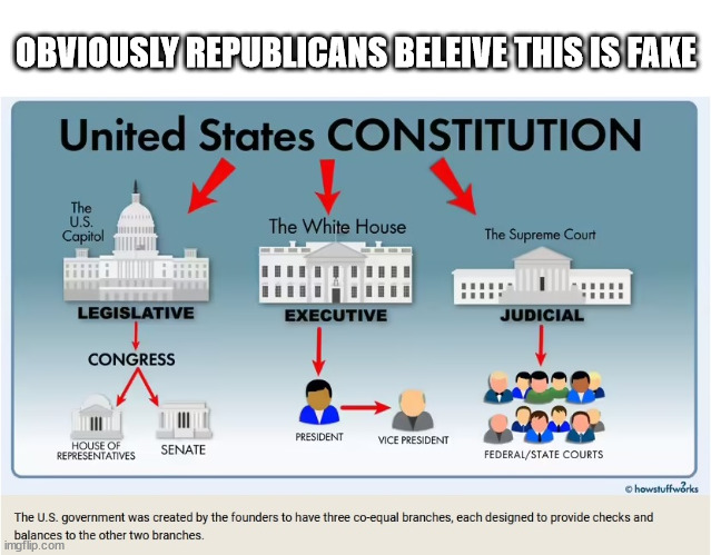 The Three Independant Branches of Government | OBVIOUSLY REPUBLICANS BELEIVE THIS IS FAKE | image tagged in branches of government,constitution,law,government,politics | made w/ Imgflip meme maker