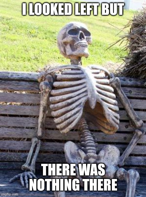 Waiting Skeleton Meme | I LOOKED LEFT BUT THERE WAS NOTHING THERE | image tagged in memes,waiting skeleton | made w/ Imgflip meme maker