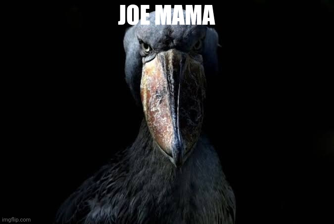 Title | JOE MAMA | image tagged in the w,memes,unfunny,funny | made w/ Imgflip meme maker