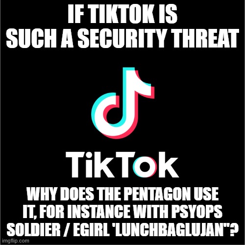 tiktok logo | IF TIKTOK IS SUCH A SECURITY THREAT; WHY DOES THE PENTAGON USE IT, FOR INSTANCE WITH PSYOPS SOLDIER / EGIRL 'LUNCHBAGLUJAN"? | image tagged in tiktok logo | made w/ Imgflip meme maker