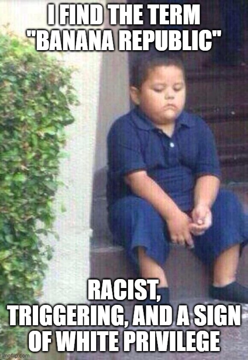 sad Mexican boy | I FIND THE TERM "BANANA REPUBLIC"; RACIST, TRIGGERING, AND A SIGN OF WHITE PRIVILEGE | image tagged in sad mexican boy | made w/ Imgflip meme maker