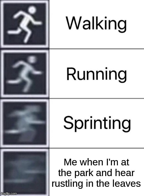 bruh this is true though | Me when I'm at the park and hear rustling in the leaves | image tagged in walking running sprinting | made w/ Imgflip meme maker