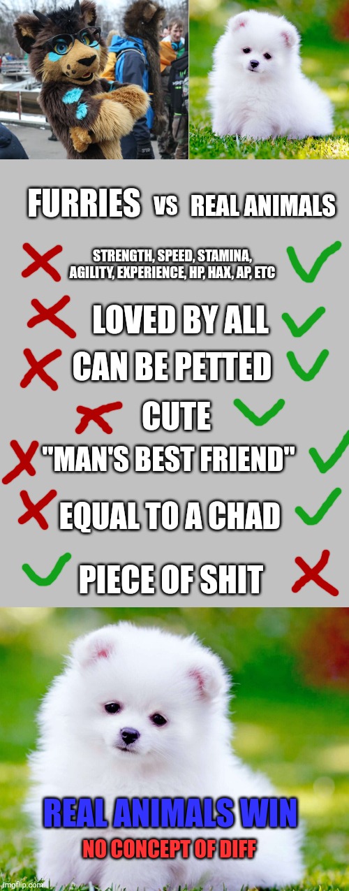 Furries vs Real Animals: The Ultimate Battle! | FURRIES; REAL ANIMALS; VS; STRENGTH, SPEED, STAMINA, AGILITY, EXPERIENCE, HP, HAX, AP, ETC; LOVED BY ALL; CAN BE PETTED; CUTE; "MAN'S BEST FRIEND"; EQUAL TO A CHAD; PIECE OF SHIT; REAL ANIMALS WIN; NO CONCEPT OF DIFF | image tagged in vs,memes,anti furry,animals | made w/ Imgflip meme maker