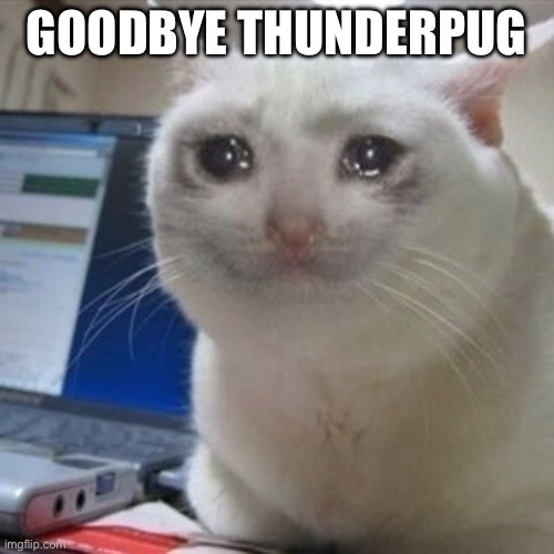 Crying cat | GOODBYE THUNDERPUG | image tagged in crying cat | made w/ Imgflip meme maker
