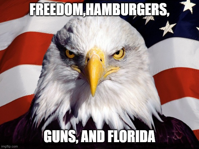 Freedom Eagle | FREEDOM,HAMBURGERS, GUNS, AND FLORIDA | image tagged in freedom eagle | made w/ Imgflip meme maker