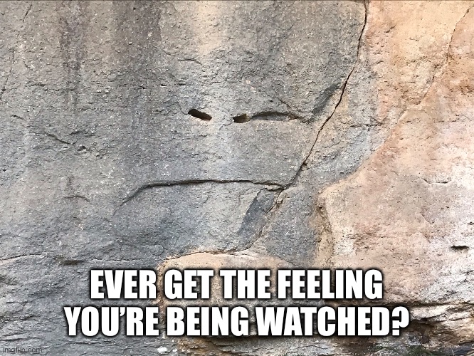 EVER GET THE FEELING YOU’RE BEING WATCHED? | image tagged in shady rock face | made w/ Imgflip meme maker