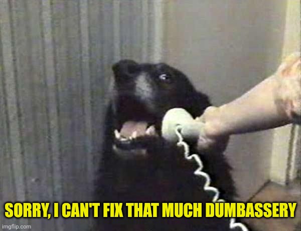 Dog Phone | SORRY, I CAN'T FIX THAT MUCH DUMBASSERY | image tagged in dog phone | made w/ Imgflip meme maker