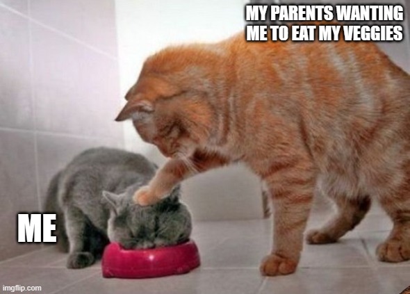 Force feed cat | MY PARENTS WANTING ME TO EAT MY VEGGIES; ME | image tagged in force feed cat,cat memes | made w/ Imgflip meme maker