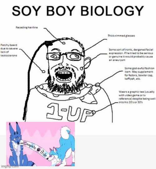 "WE SUPPORT SHOOTING SCHOOLS CAUSE THEY DONT LIKE LGBTQ" | made w/ Imgflip meme maker