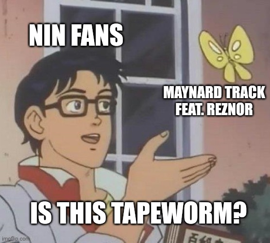 Is This A Pigeon Meme | NIN FANS; MAYNARD TRACK FEAT. REZNOR; IS THIS TAPEWORM? | image tagged in memes,is this a pigeon | made w/ Imgflip meme maker