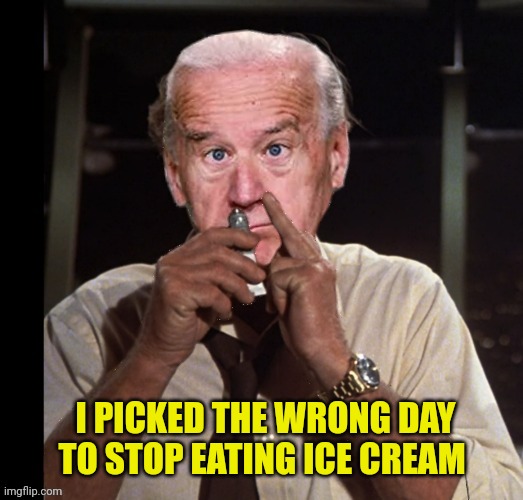 I PICKED THE WRONG DAY TO STOP EATING ICE CREAM | made w/ Imgflip meme maker