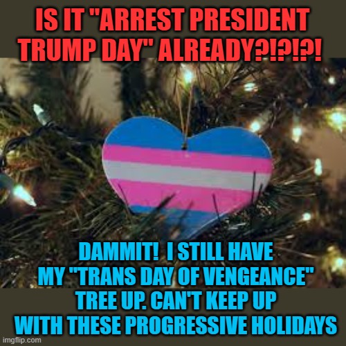 IS IT "ARREST PRESIDENT TRUMP DAY" ALREADY?!?!?! DAMMIT!  I STILL HAVE MY "TRANS DAY OF VENGEANCE" TREE UP. CAN'T KEEP UP WITH THESE PROGRESSIVE HOLIDAYS | image tagged in trans,trans day of vengeance | made w/ Imgflip meme maker