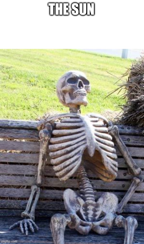 Waiting Skeleton Meme | THE SUN | image tagged in memes,waiting skeleton | made w/ Imgflip meme maker