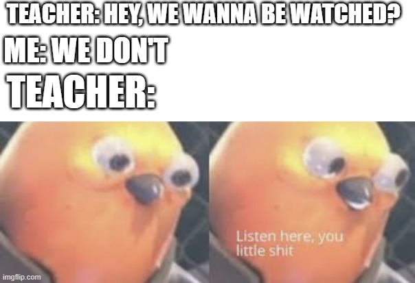 You actually s**t | TEACHER: HEY, WE WANNA BE WATCHED? ME: WE DON'T; TEACHER: | image tagged in listen here you little shit bird,memes | made w/ Imgflip meme maker