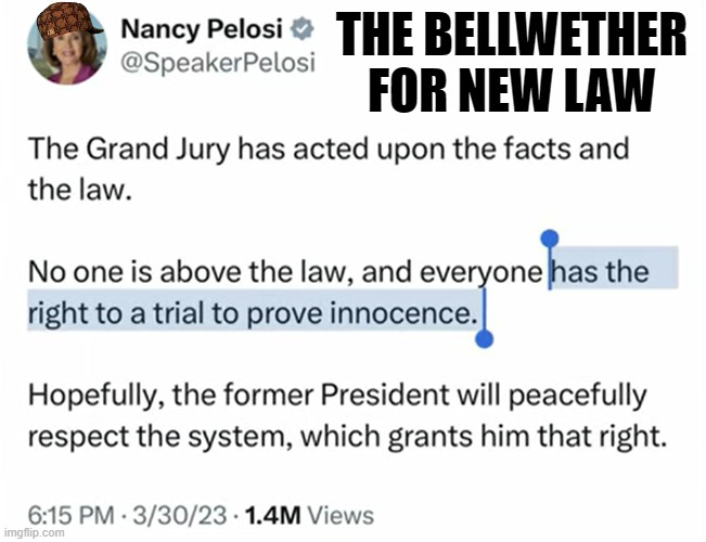 New Bellwether for Law | THE BELLWETHER FOR NEW LAW | image tagged in pelosi,troll | made w/ Imgflip meme maker