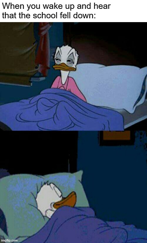 sleepy donald duck in bed | When you wake up and hear that the school fell down: | image tagged in sleepy donald duck in bed,school,high school | made w/ Imgflip meme maker