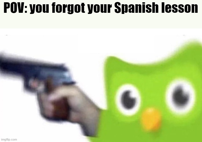 duolingo gun | POV: you forgot your Spanish lesson | image tagged in duolingo gun,duolingo,memes | made w/ Imgflip meme maker