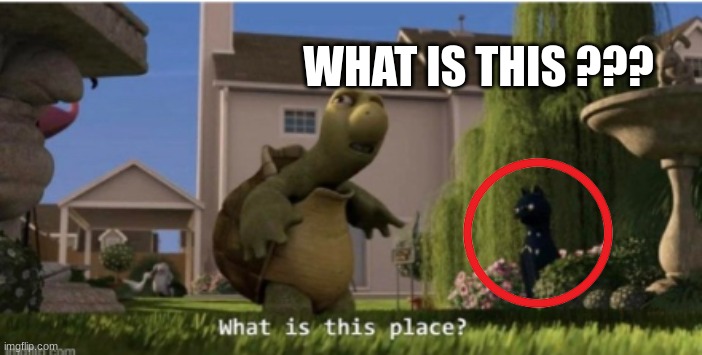 ? | WHAT IS THIS ??? | made w/ Imgflip meme maker