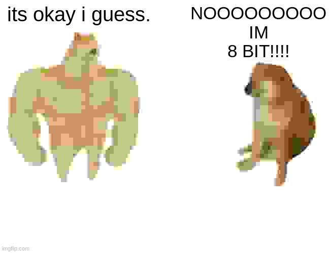 8 bit | its okay i guess. NOOOOOOOOO IM 8 BIT!!!! | image tagged in memes,buff doge vs cheems | made w/ Imgflip meme maker