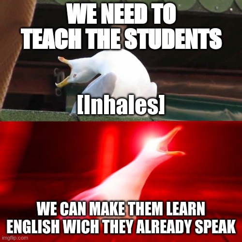 School system | WE NEED TO TEACH THE STUDENTS; [Inhales]; WE CAN MAKE THEM LEARN ENGLISH WICH THEY ALREADY SPEAK | image tagged in boy seagull | made w/ Imgflip meme maker