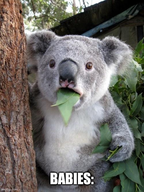 point farming time boi | BABIES: | image tagged in memes,surprised koala | made w/ Imgflip meme maker