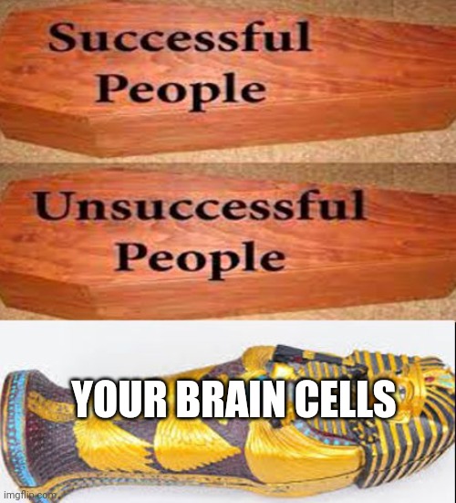 Coffin meme | YOUR BRAIN CELLS | image tagged in coffin meme | made w/ Imgflip meme maker