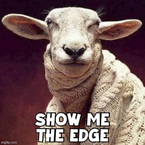 Show me the edge flat earthers | image tagged in show me the edge flat earthers | made w/ Imgflip meme maker