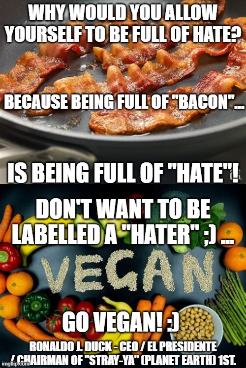 For Our "Haters" | WHY WOULD YOU ALLOW YOURSELF TO BE FULL OF HATE? BECAUSE BEING FULL OF "BACON"... IS BEING FULL OF "HATE"! DON'T WANT TO BE LABELLED A "HATER" ;) ... GO VEGAN! :); RONALDO J. DUCK - CEO / EL PRESIDENTE / CHAIRMAN OF "STRAY-YA" (PLANET EARTH) 1ST. | image tagged in beef,lamb,pork,fish,chicken,veganism | made w/ Imgflip meme maker