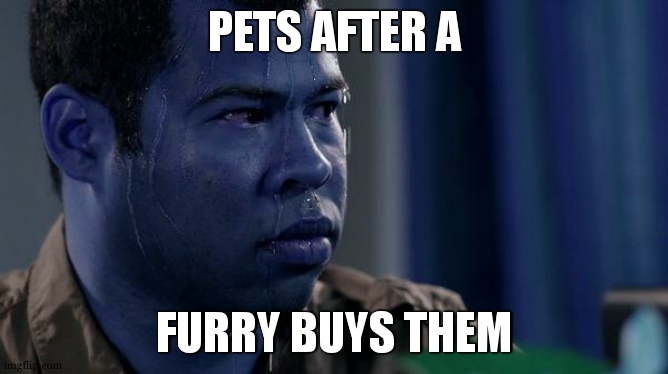 sweating bullets | PETS AFTER A; FURRY BUYS THEM | image tagged in sweating bullets | made w/ Imgflip meme maker