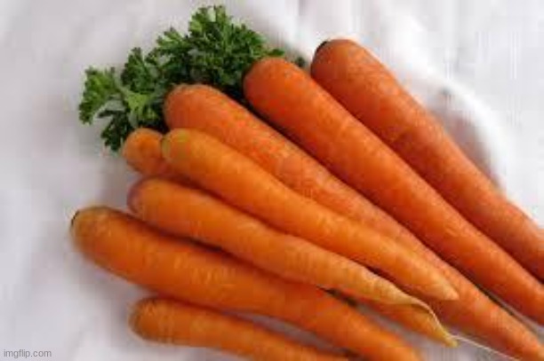 Carrots | image tagged in carrots | made w/ Imgflip meme maker