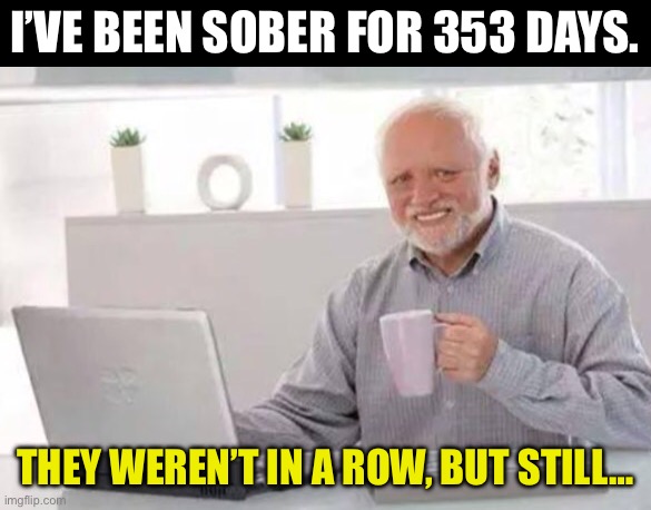 Sober | I’VE BEEN SOBER FOR 353 DAYS. THEY WEREN’T IN A ROW, BUT STILL… | image tagged in harold | made w/ Imgflip meme maker
