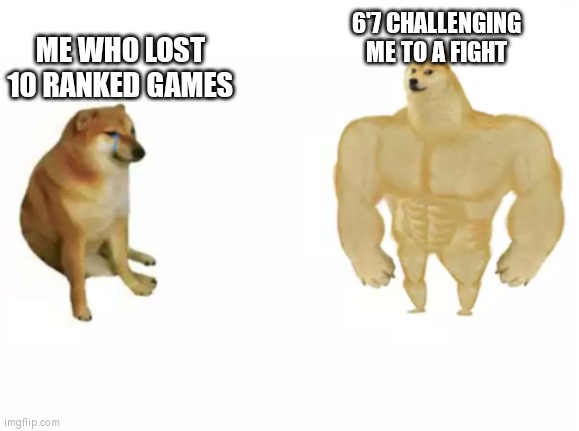 Gof | ME WHO LOST 10 RANKED GAMES; 6'7 CHALLENGING ME TO A FIGHT | image tagged in 2 dogs reversed | made w/ Imgflip meme maker