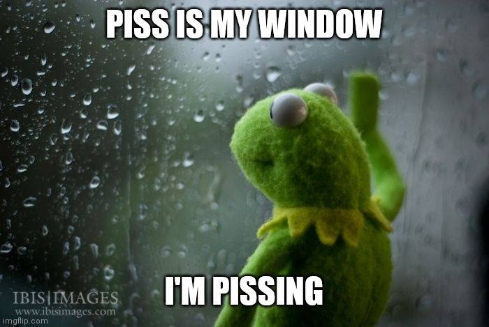 kermit window | PISS IS MY WINDOW I'M PISSING | image tagged in kermit window | made w/ Imgflip meme maker