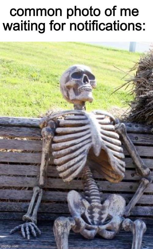 Fun facts about notifications (copied this from a different website): push notifications are a common way to get users to pay at | common photo of me waiting for notifications: | image tagged in memes,waiting skeleton,idk,funny,what the cinnamon toast f is this | made w/ Imgflip meme maker