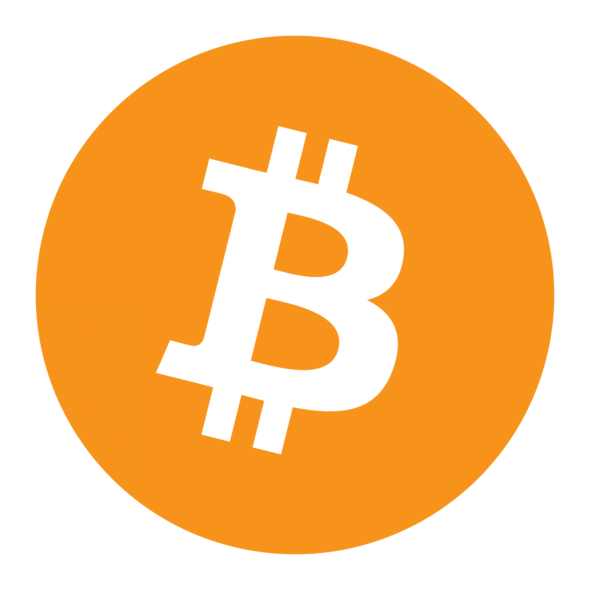 High Quality Bitcoin Logo Blank Meme Template